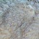 Bilden visar ett äkta fårskinn. Med koskinn och fårskinn kan du skapa en varmare ton i din inredning med snygga prydnadskuddar av äkta fårskinn och äkta koskinn.